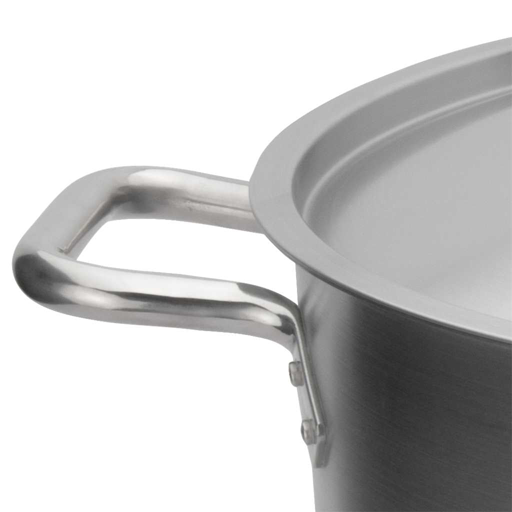 Elements Stainless Steel Stock Pot, 5.0L