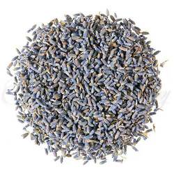Lavender Petals, Sapphire Blue French Super