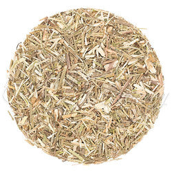 Vervain Organic