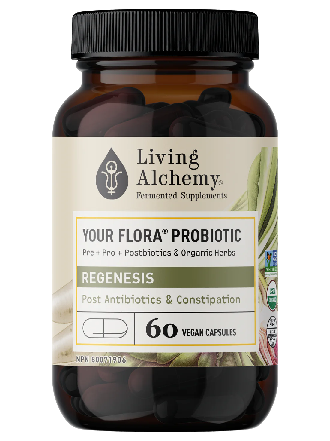 Your Flora Probiotic REGENESIS 60 Capsules