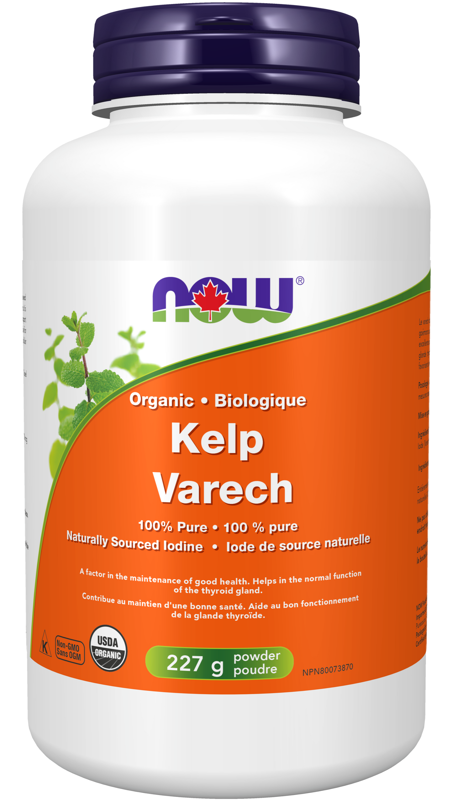 Kelp Powder, Organic