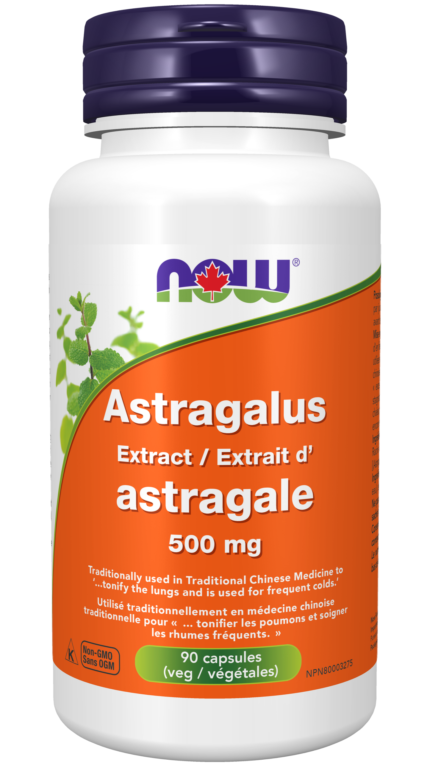 Astragalus Extract 500mg