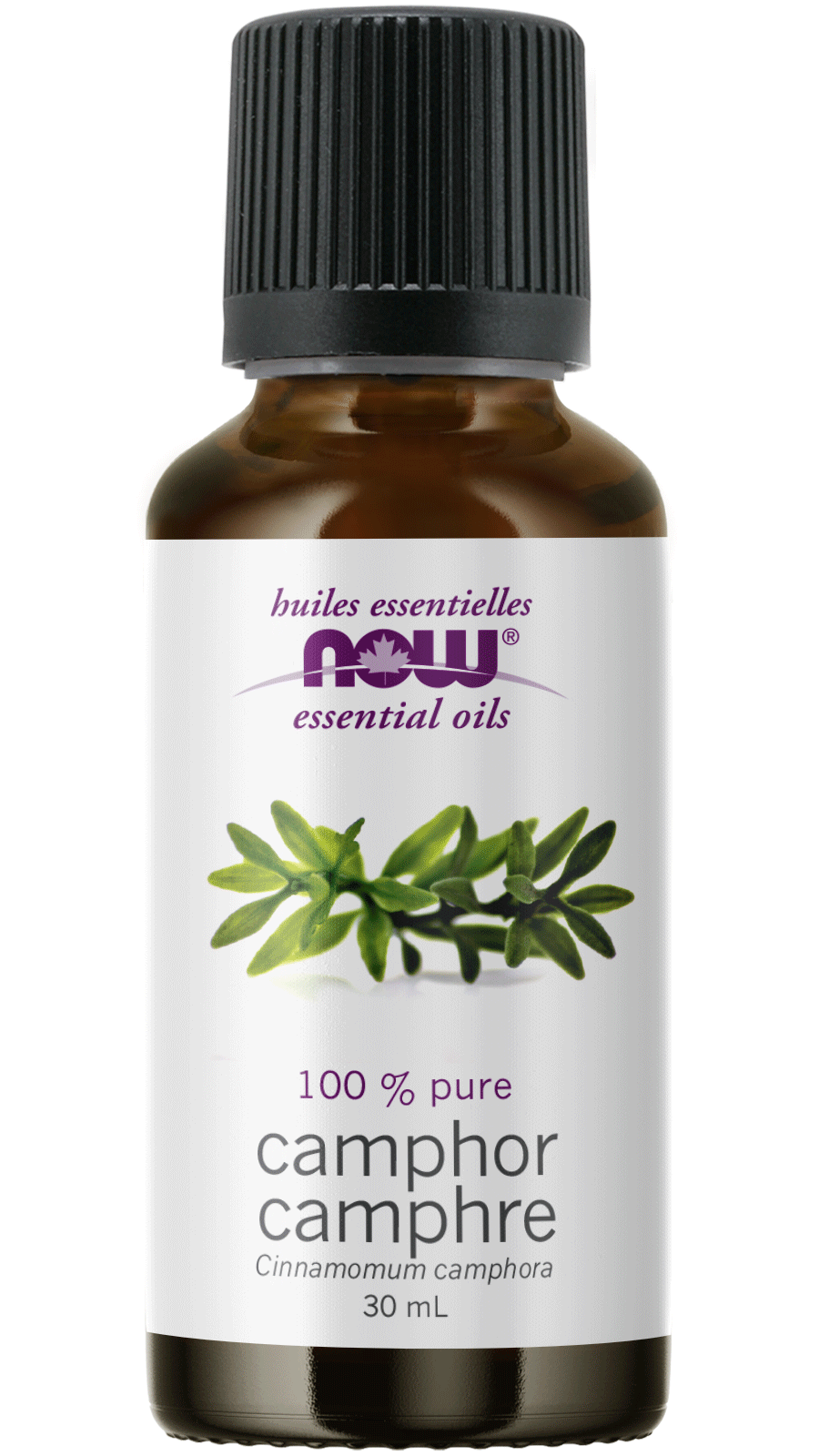 Camphor Oil 100% Pure