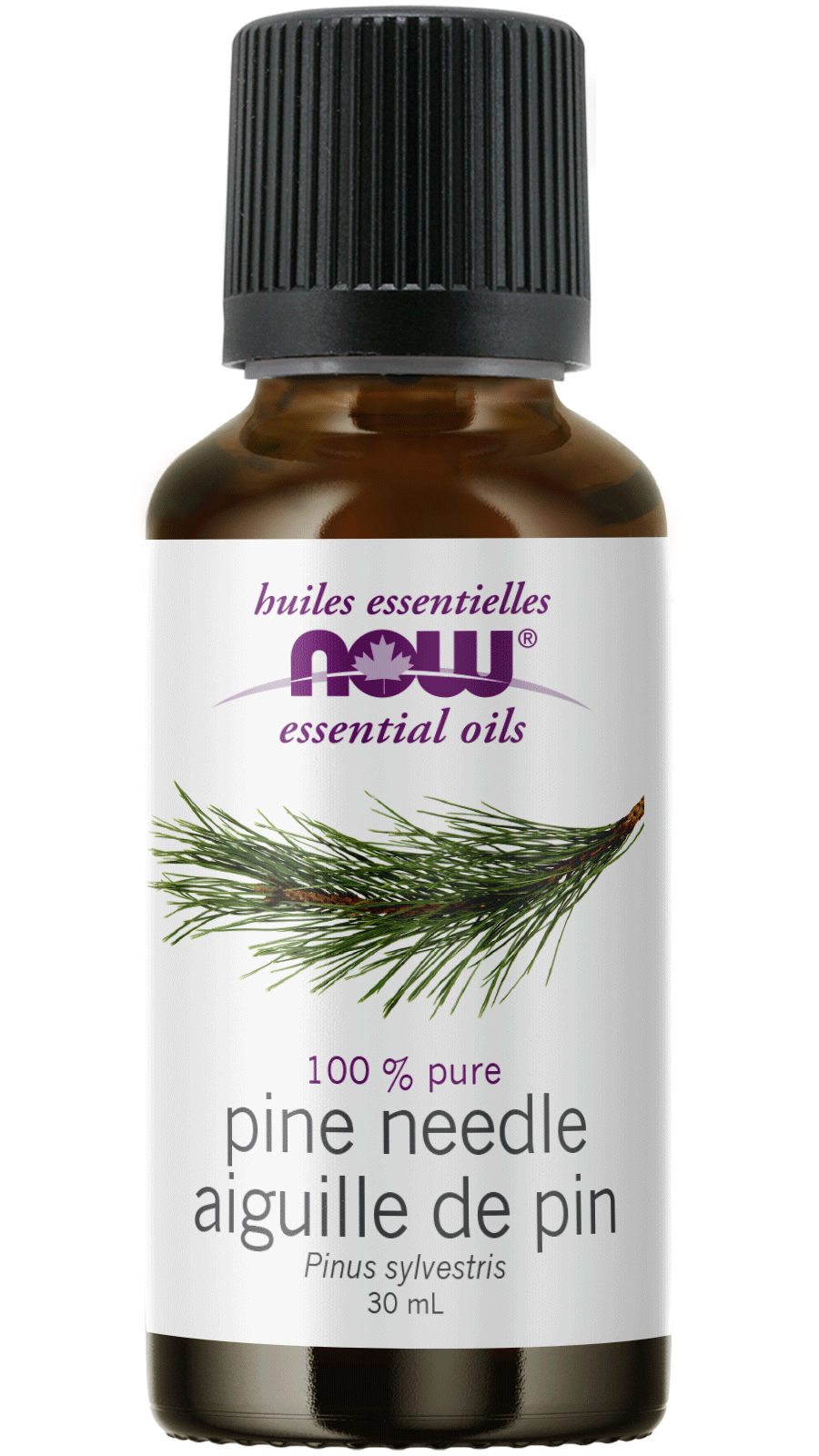 Pine Needle Oil 100% Pure