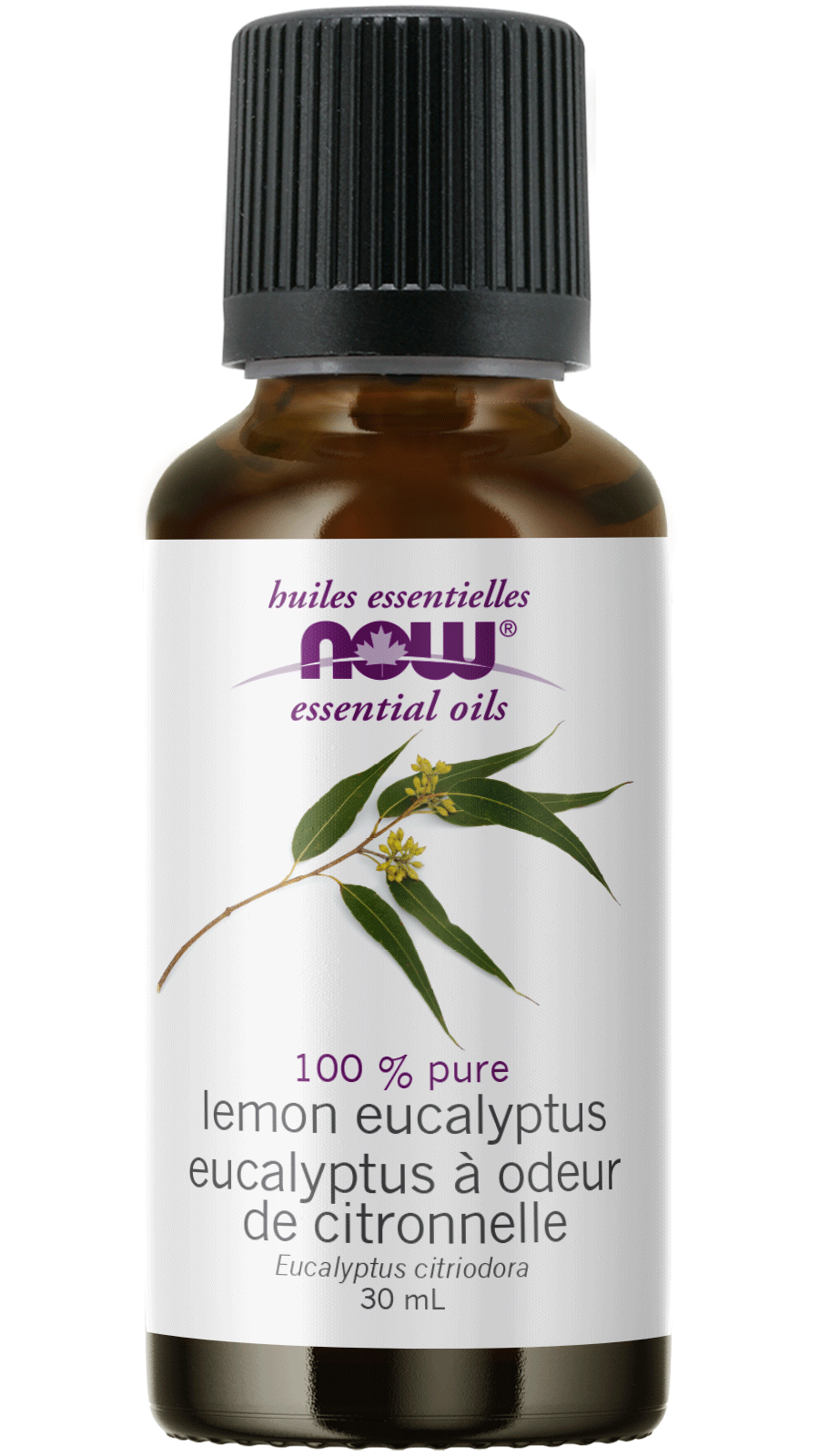 Eucalyptus Citriodora "Lemon Eucalyptus" Oil 100% Pure