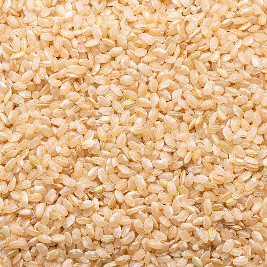 Rice, Brown Short Grain Organic 1.0kg