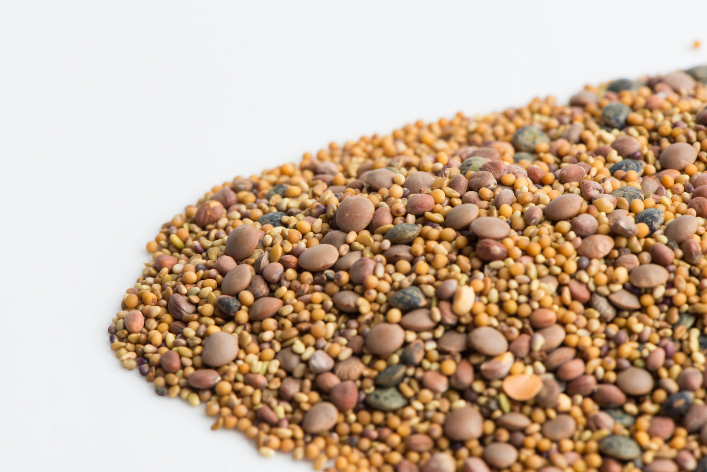 Mumm's Organic Sprouting Seeds - Spicy Lentil Crunch
