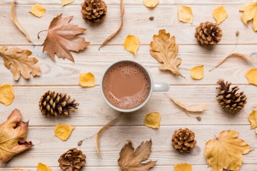 Hot Chocolate Mix - Woodland Bear