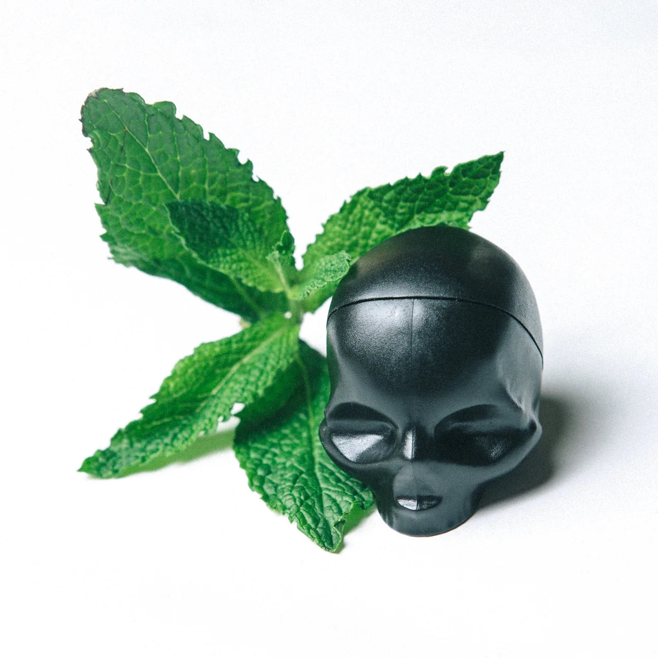 Rebels Lip Balm Mint