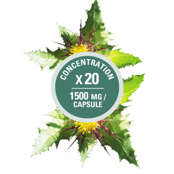 Blessed Thistle 1500mg