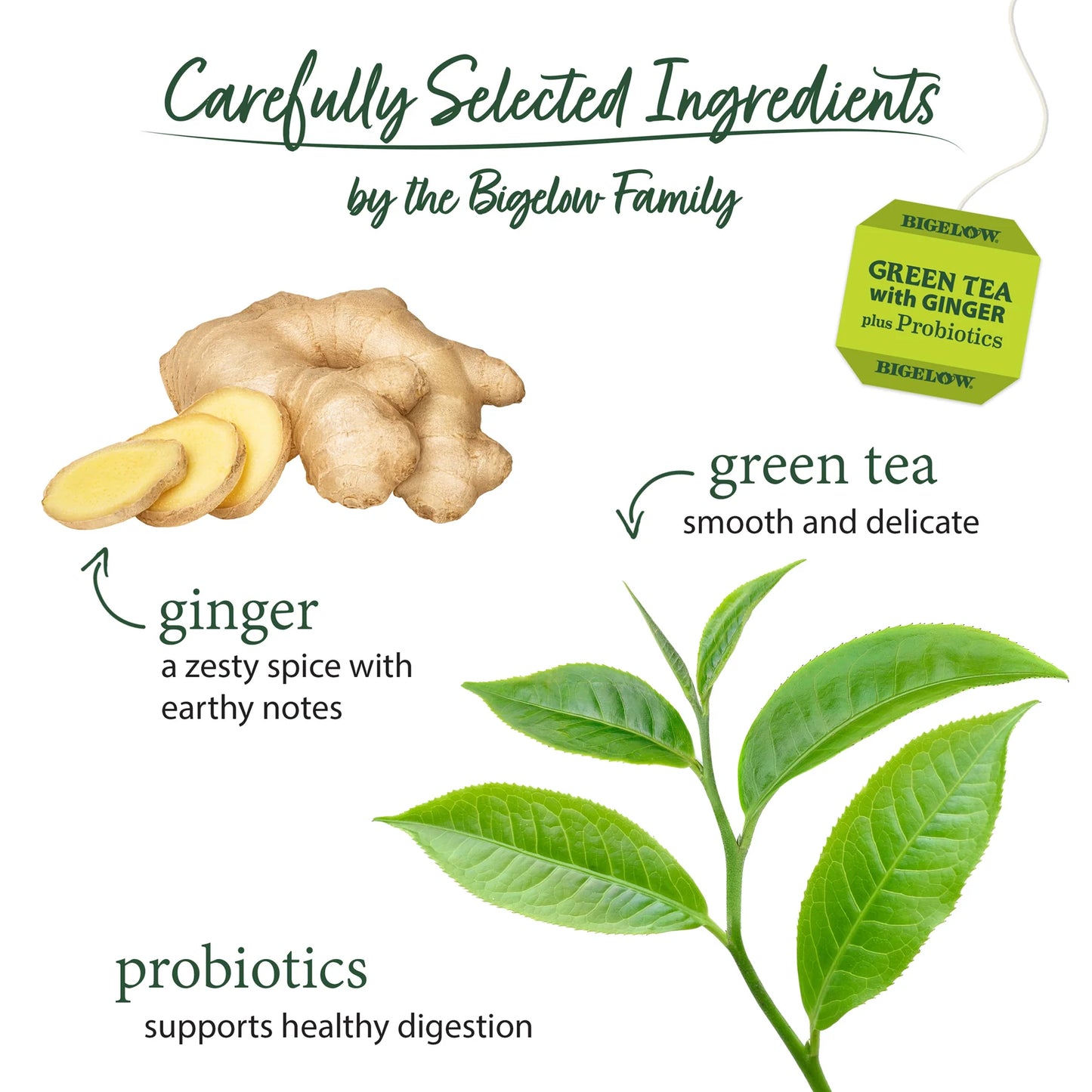 Bigelow Green Tea with Ginger Plus Probiotics