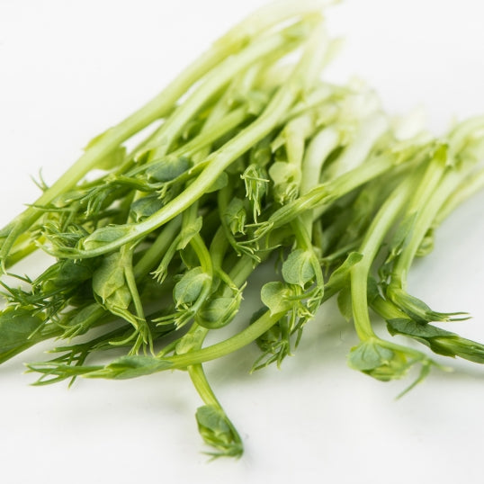 Mumm's Organic Sprouting Seeds - Green Peas