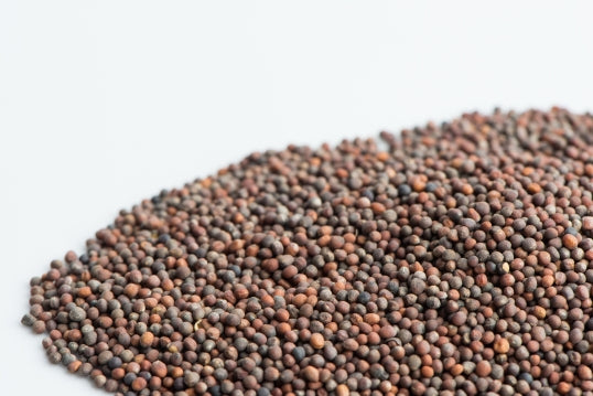 Mumm's Organic Sprouting Seeds - Broccoli