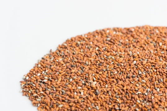 Mumm's Organic Sprouting Seeds - Curly Cress
