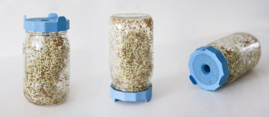 Masontops® Sprouting Lids
