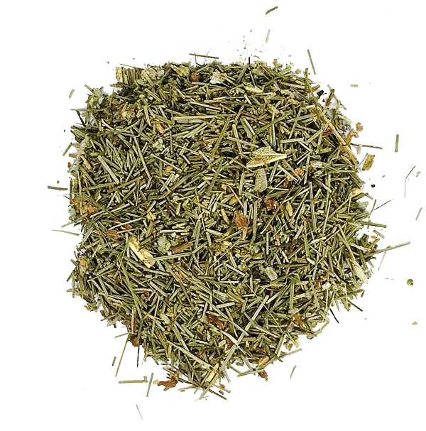 Sacred Blend Pine Needle Tea