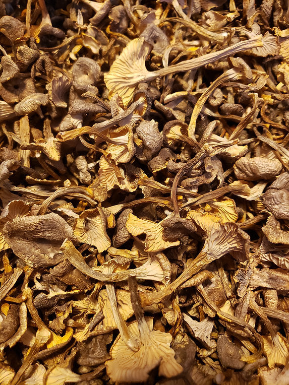 Wildland Foods Winter Chanterelles (Yellowfoot) LOCAL
