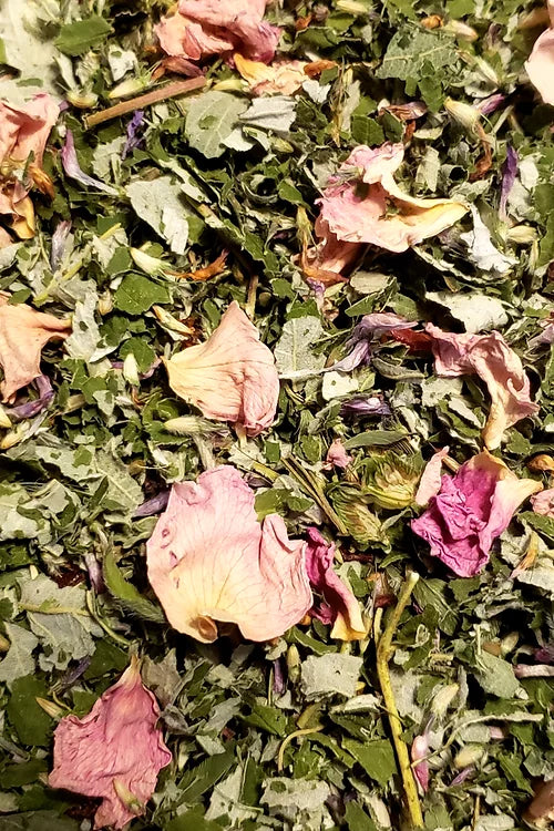 Wildland Foods Dancing Doe Women's Herbal Tea LOCAL