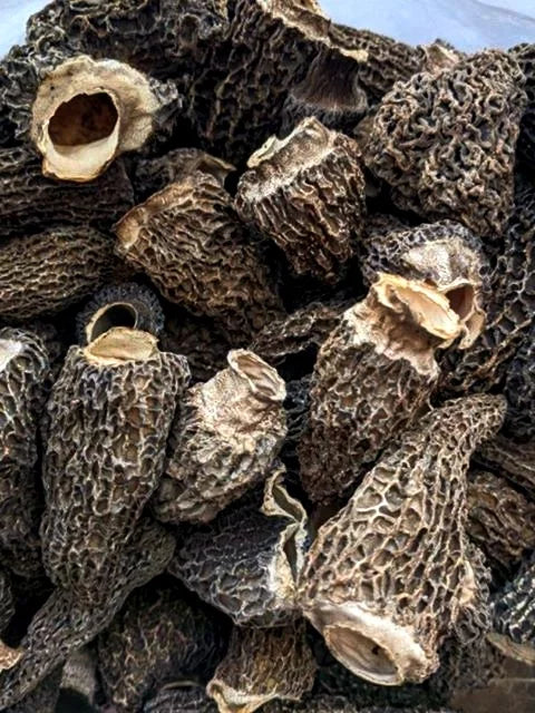 Wildland Foods Grey Morels LOCAL