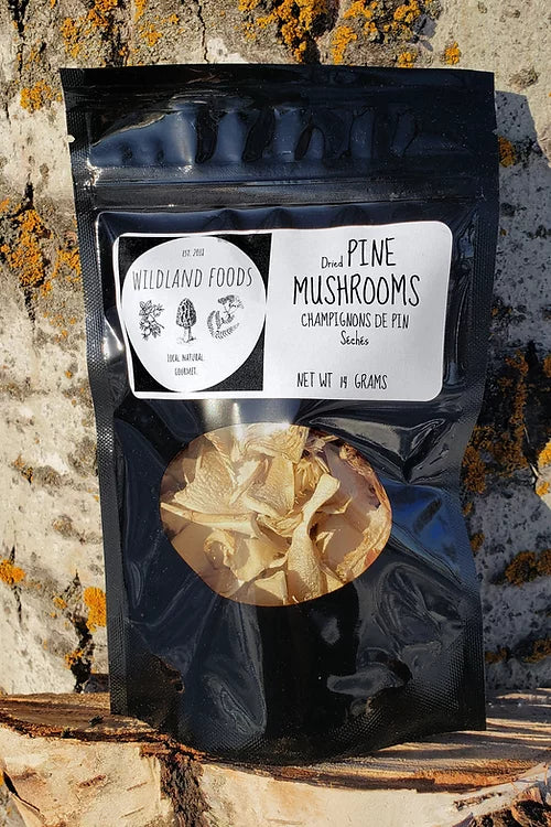 Wildland Foods Pine Mushrooms (Matsutake) LOCAL