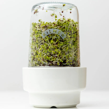 Kilner Sprouting Jar Set
