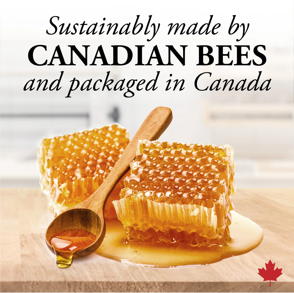 Dutchman's Gold Honey Comb