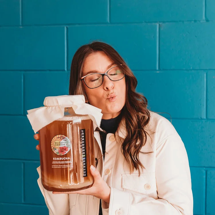Kombucha Brewing Starter Kit *REFRIGERATED*