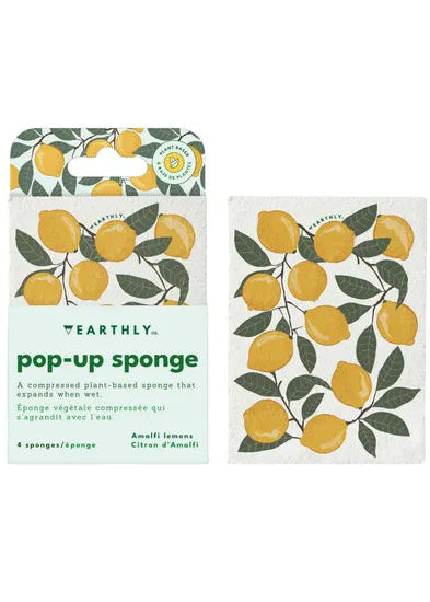 Earthly Co. Pop Up Sponges