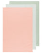 Dishtowel Set Floursack Dawn Eucalyptus Mist, 3-pk