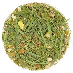 Tea Functional Wellness, Head to Toes Arthritis