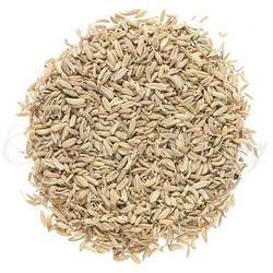 Fennel Seed Organic