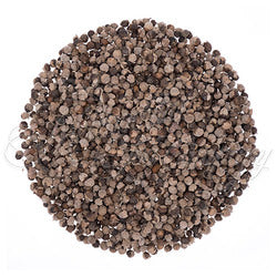 Chaste Tree Seed Organic