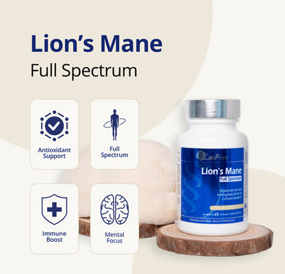 Lion’s Mane Mushroom Full Spectrum