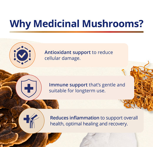 Lion’s Mane Mushroom Full Spectrum