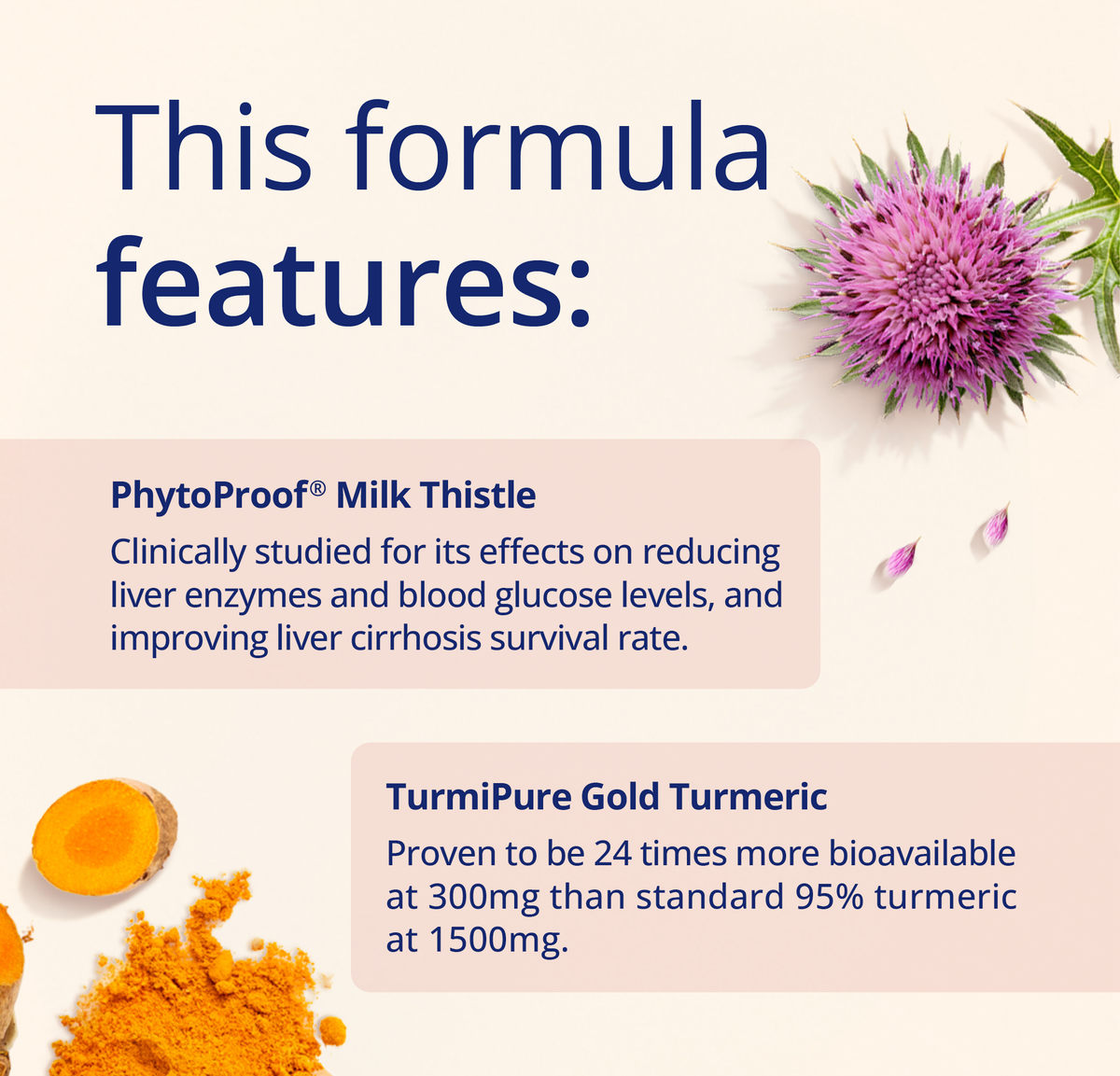 Healthy Liver Formula