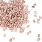 Pinto Beans, Organic