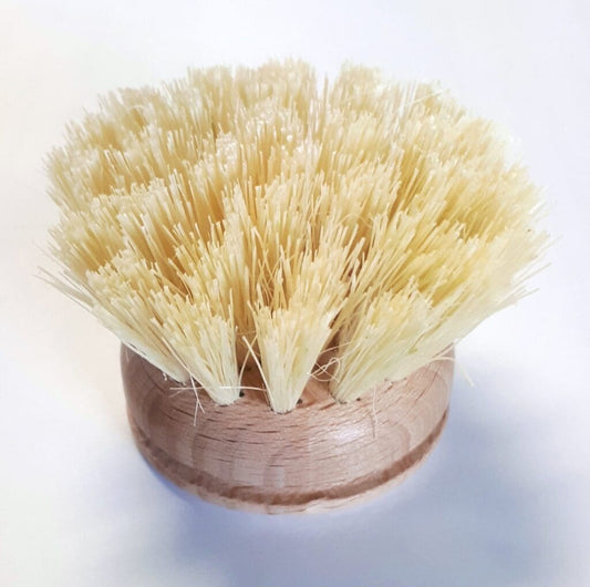 Dish Brush Replacement Head Large, Beechwood