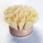 Dish Brush Replacement Head Large, Beechwood