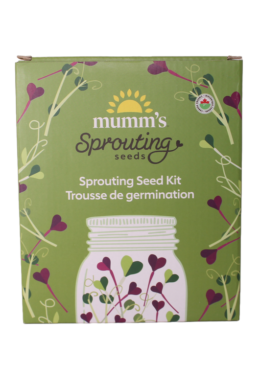 Mumm's Sprouting Seed Kit, Single