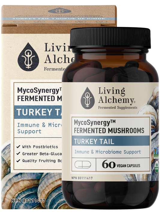 MycoSynergy Fermented Turkey Tail Mushroom 60 Capsules