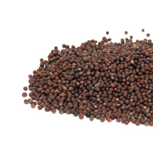 Mumm's Organic Sprouting Seeds - Brown Mustard