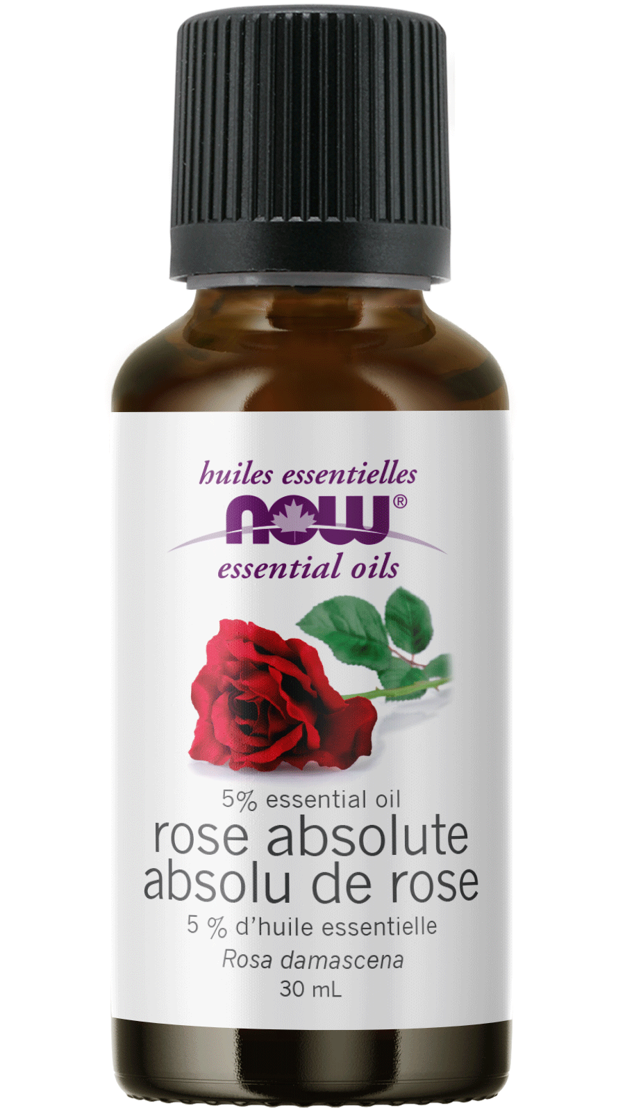 Rose Absolute 5% Oil Blend