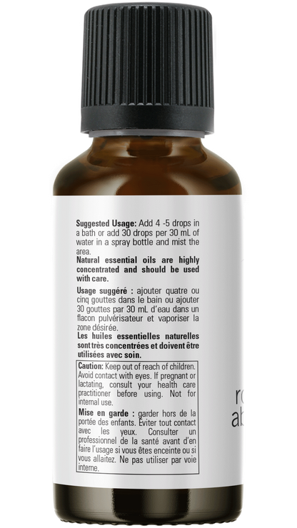 Rose Absolute 5% Oil Blend