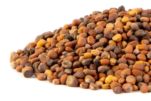 Mumm's Organic Sprouting Seeds - Rainbow Radish