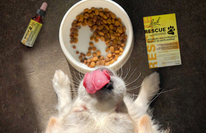Bach Rescue Remedy for Pets