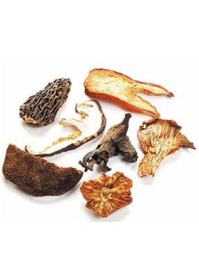 Ponderosa Dried Wild Mix Mushrooms