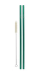 Enviro Stainless Straw 10.5" Straight, 2-Pack