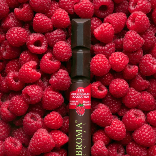 Dark Chocolate Bar with Raspberry