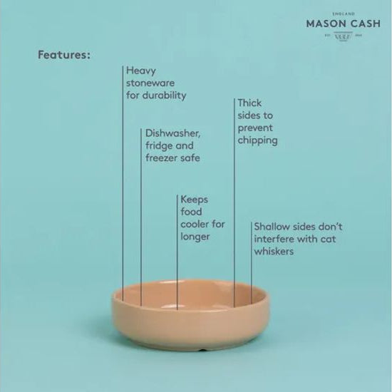 Mason Cash Caneware Cat Saucer