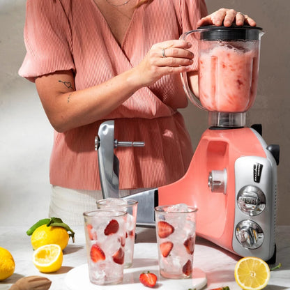Ankarsrum Blender with Tamper